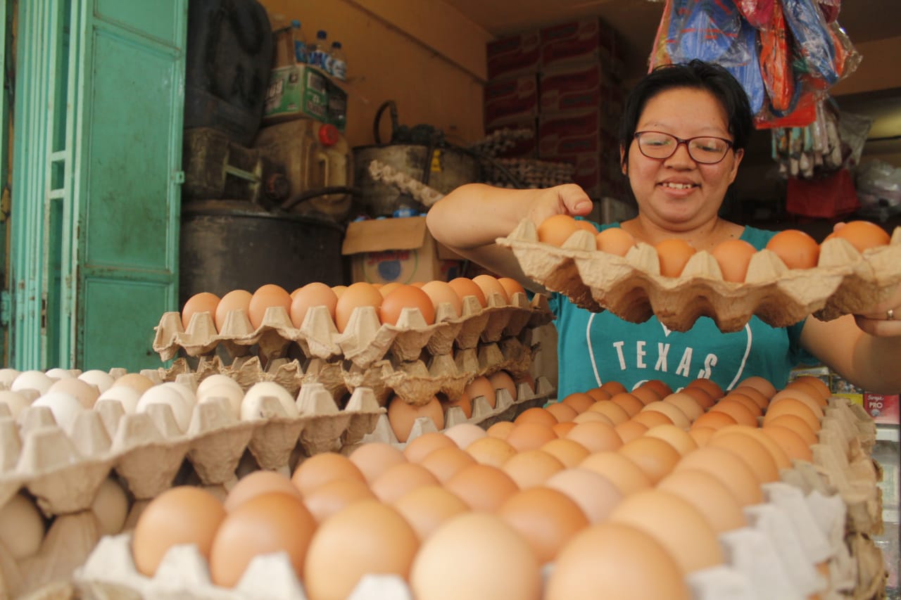 84 Persen Kebutuhan Telur di Karimun Dipasok Peternak Lokal