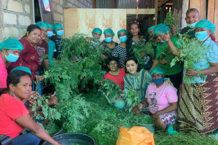 Jika Korea Terkenal dengan Ginseng, Maka Indonesia Punya Daun Kelor