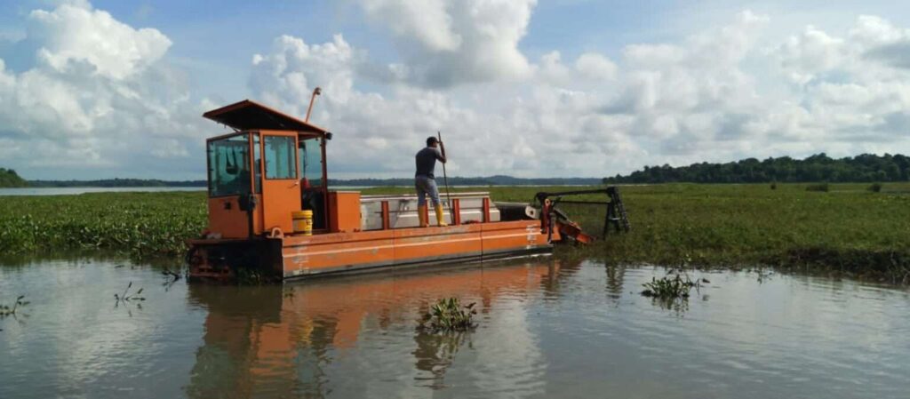 Waduk Seiharapan dan Waduk Muka Kuning tidak ada tanaman eceng gondok. Hal ini dikarenakan tidak adanya aktivitas perikanan maupun pertanian. “Sementara yang ada di Monggak, dulu ada tambak. Kemudian Duriangkang juga ada tambak dan pertanian. Sementara Tembesi ada pertanian diatasnya,” tuturnya. Sehingga, upaya pembersihan tanaman liar dan eceng gondok di sekitar wilayah waduk terus dilakukan dalam beberapa waktu terakhir. Ia juga memastikan, kecepatan pembersihan waduk saat ini lebih tinggi dari pada kecepatan pertumbuhan eceng gondok itu sendiri.