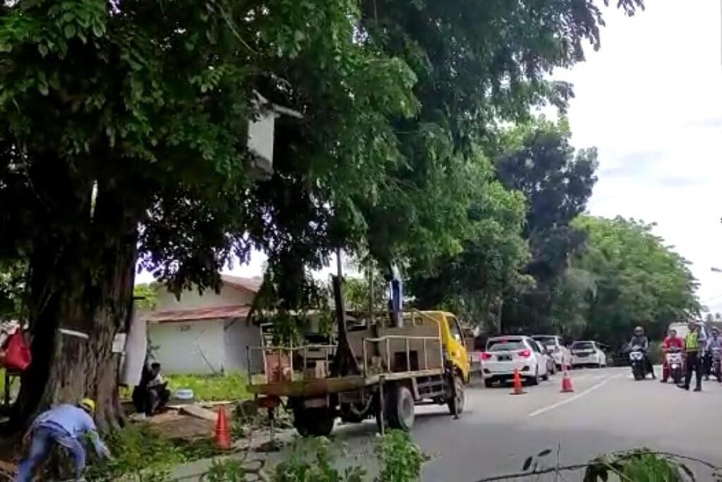 Salah satunya, dahan pohon yang sudah menjangkau kabel jaringan PLN dilakukan pemangkasan. Dampaknya, arus lalulintas sempat terganggu di beberapa titik lokasi yang dilakukan pemangkasan tersebut, Sabtu (6/5/2023). Tiga titik lokasi yang sedang dilakukan pemangkasan dahan dari pohon tinggi di antaranya; Teluk air, Lubuk Semut dan Kapling. Aksi pemangkasan ini atas kerjasama PLN, dinas lingkungan hidup dan dinas pemukiman. Dinas Perhubungan dan Satlantas Polres Karimun juga terlibat dengan mengatur arus lalulintasnya
