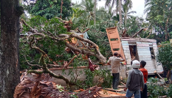 Tertimpa Pohon, Sebuah Rumah di Kundur Rusak Parah