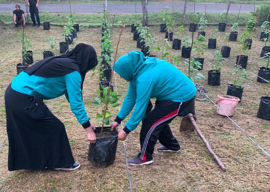 Para kader PKK sedang membersihkan kebun cabai yang ada di Pekarangan Kantor Camat Singkep Barat, pagi tadi. (ft wandy)
