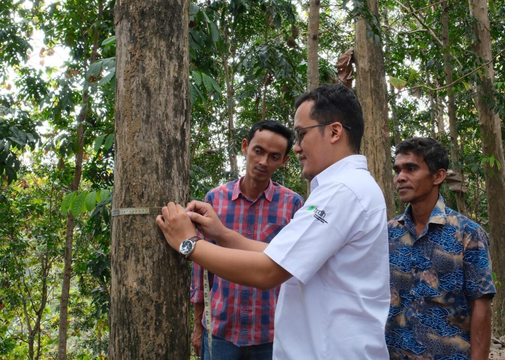 Pembiayaan Tunda tebang dari BPDLH dengan memanfaatkan pohon-pohon milik warga di daerah konservasi sebagai agunan. (ft humaskemenkeu)