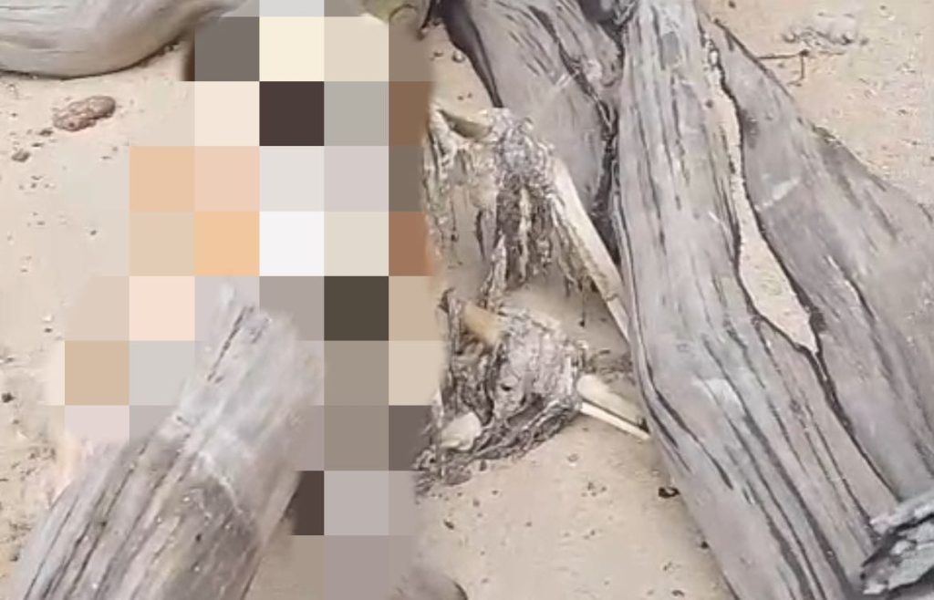 Mayat yang teronggok di pinggir pantai di Pulau NUja, Lingga, kemarin, (ft wandy)