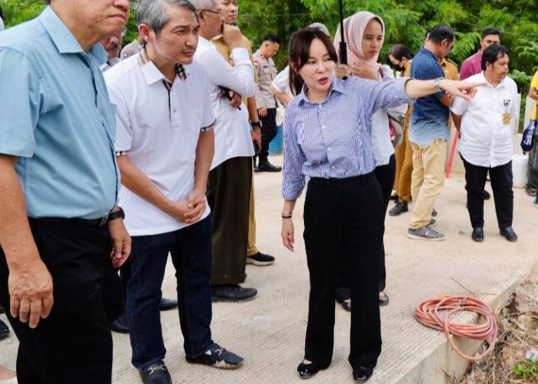 Wakil BP Batam Li Claudia Chandra saat meninjau DAS di Baloi, pagi tadi. (ft bpbatam)