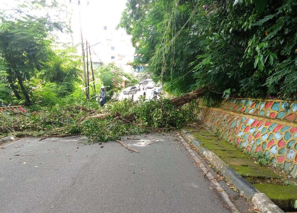 Jalan Teluk Air ditutup sementara karena da pohon tumbang. (ft roma)