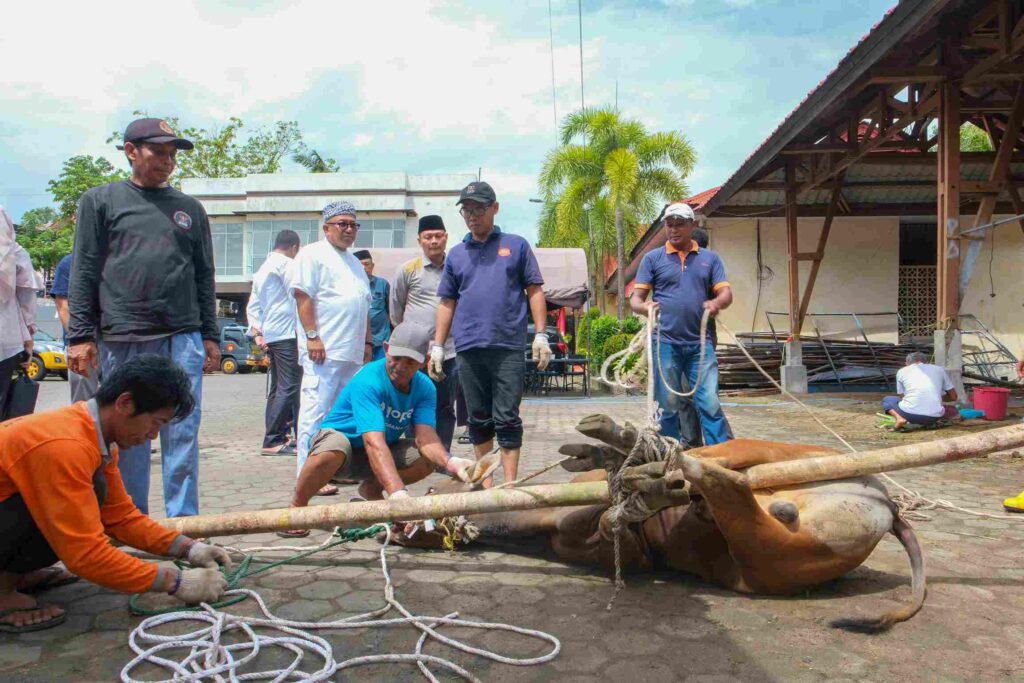 Wako Lis saat menyaksikan prosesi penyembelihan hewan kurban di Mapolresta Tanjungpinang, pagi tadi. (ft kominfotpi)