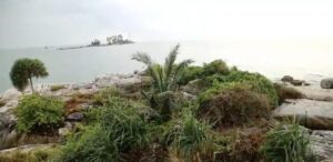 Potret Pulau Berhala di Kecamatan Singkep Selatan Kabupaten Lingga Provinsi Kepri. (Ft wandy)