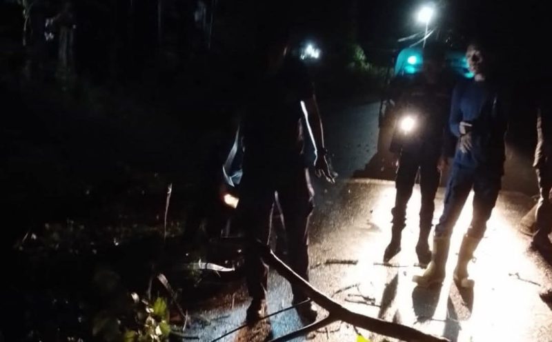 Bergerak Cepat Dini Hari, Damkar Singkep Evakuasi Warga Tertimpa Pohon Tumbang di Dabo