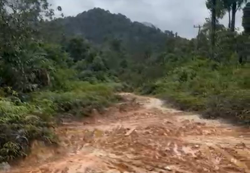 11 Tahun Hanya Sekali Perbaikan: Jalan Berlumpur Rantau Panjang Lingga Utara Sulitkan Akses Warga Mencari Nafkah