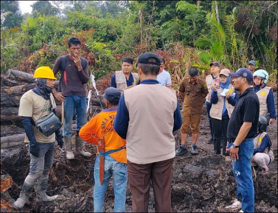 Lahan Sagu Pekaka Lingga, PT CSA Klaim Tak Sengaja, Pemda Minta Hentikan Land Clearing