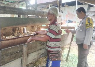 Bhabinkamtibmas Polsek Sungai Batang saat meninjau kandang hewan warga, pagi tadi. (ft muhamad)