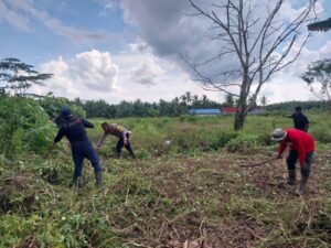 Jajaran Polsek dan Pengelola BUMDES Raja Mud saat membersihkan lahan untuk tanaman jagung, pagi tadi. (ft muhamad)