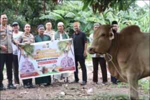 Kapolres Karimun saat menyerahkan sapi kurban, pagi tadi. (ft msarih)