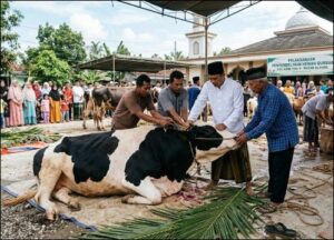 Prosesi pemotongan hewan kurban di Lingga, beberapa waktu lalu. (ft wandi)