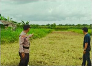 Petugas Polsek Tembilahan Hulu bersama warga saat mengecek lahan jagung untuk ketahanan pangan, pagi tadi. (ft muhamad)