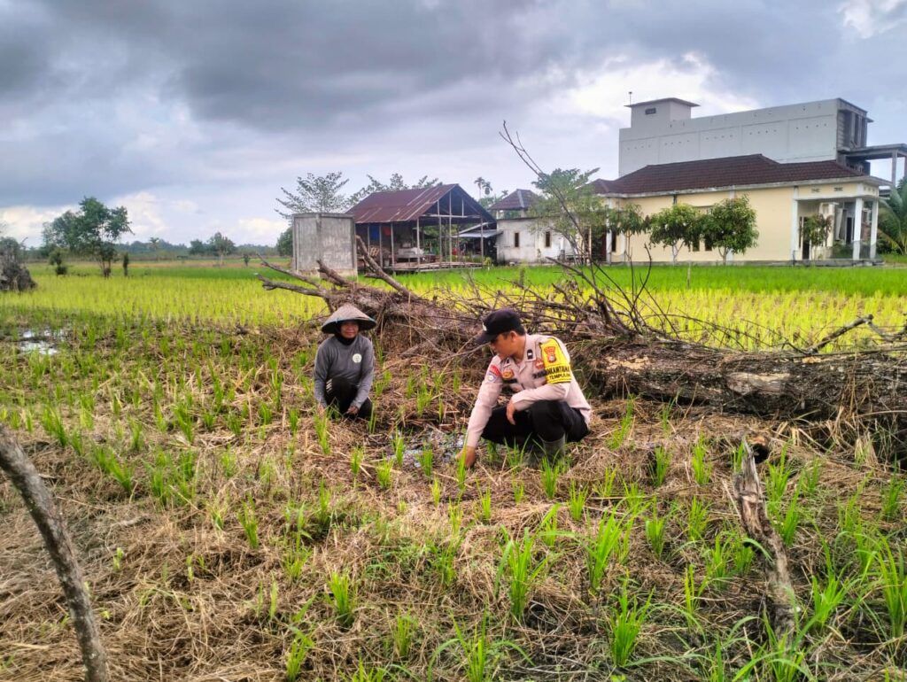 Petugas Polsek Tempuling saat di ladang untuk ketahanan pangan, pagi tadi. (ft muhamad)