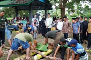 Suasana gotong royong saat penyembelihan hewan kurban di Tembilahan, pagi tadi. (ft muhamad)