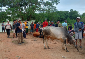 Suasana prosesi penyembelihan hewan kurban pada 2025 lalu. (ft dok lendoot)