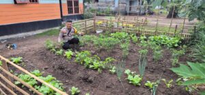 Bhabinkamtibmas Polsek Pelangiran, BRIPKA HP. Siregar, melaksanakan kegiatan pemantauan progres pertumbuhan tanaman terong dan cabai di Desa Tagagiri Tama Jaya, Kecamatan Pelangiran, Senin (1/6/2026). (ft muhamad)