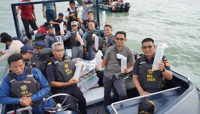 DJBC Khusus Kepri Gagalkan Penyelundupan senilai Rp19 Miliar Benih Lobster