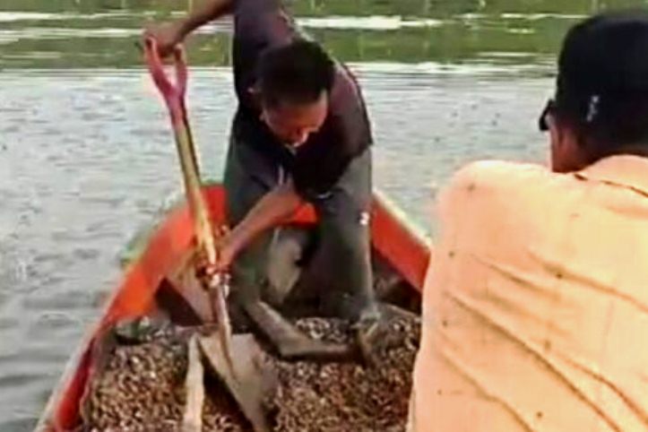 Warga Desa Marok Kecil saat menebar bibit kerang darah di wilayahnya. Foto beberapa waktu lalu. (ft husni)