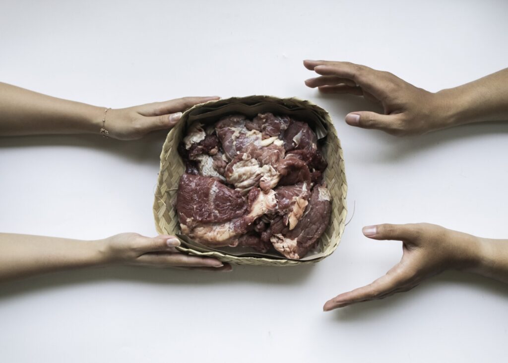 Iklsutrasi daging. (ft human-initiative)