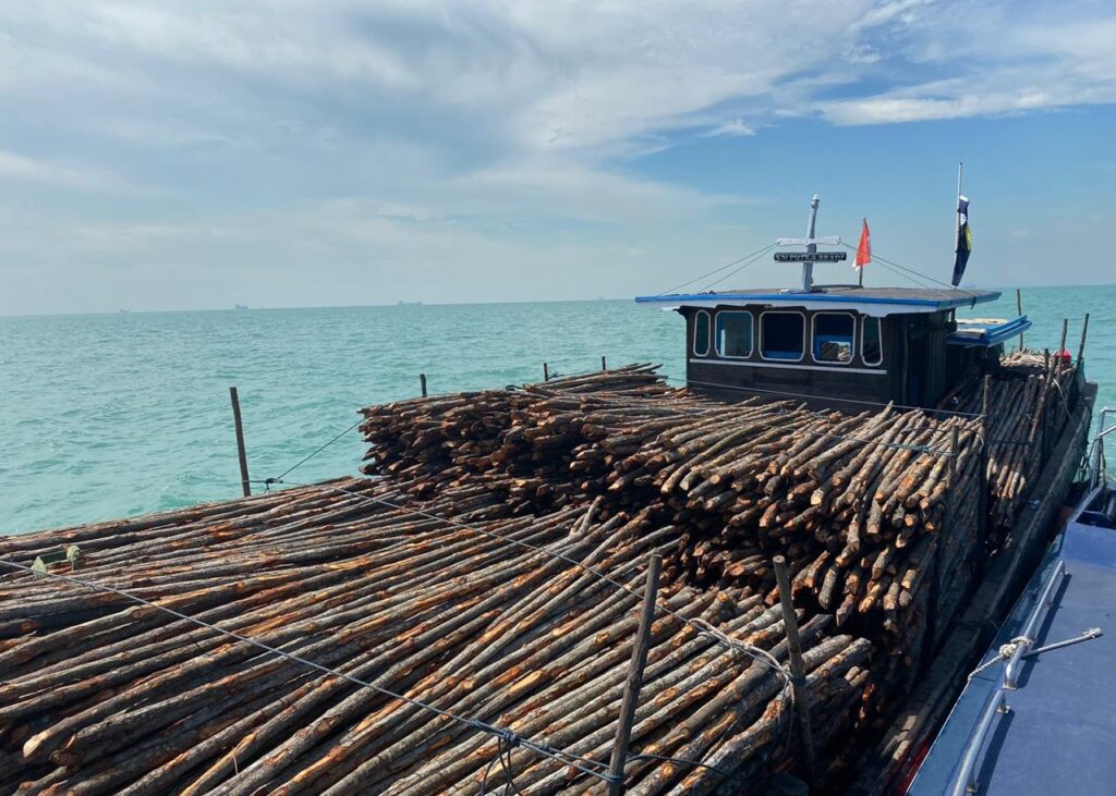 Ribuan batang Kayu ilegal dari Riau ke Karimun hasil tangkapan Bea Cukai Karimun, beberapa waktu lalu. (ft dok bc)