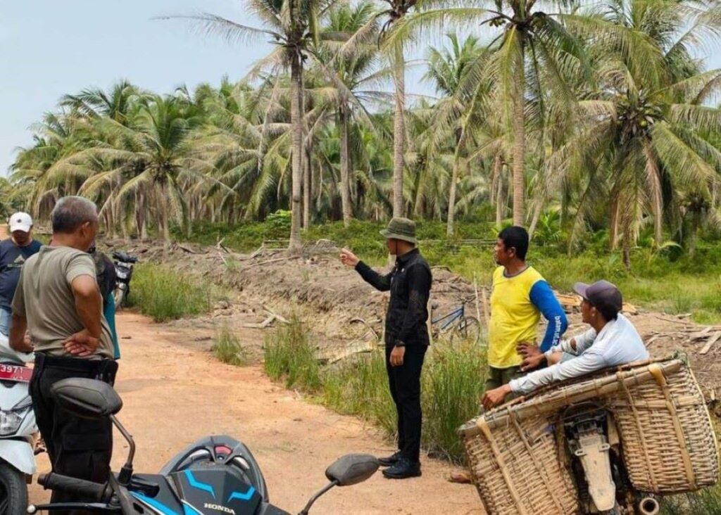 Perkebunan Kelapa di Sungai Ungar Kecamatan Ungar, belum lama ini, (ft dok lendoot)