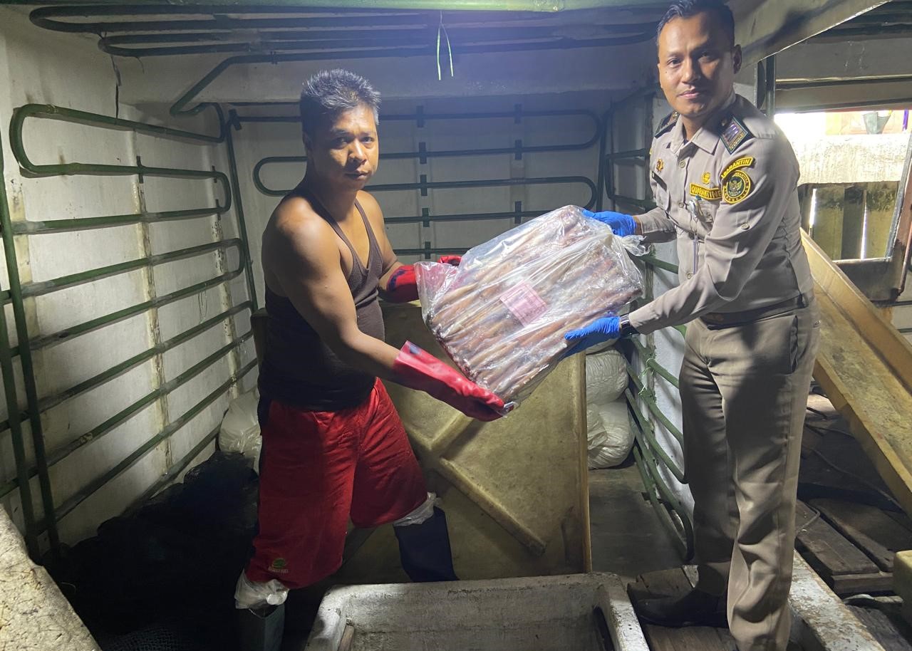 Petugas Bakrantin Kepri Cabang Karimun dan pekerja pengiriman ikan dan cumi sebelum dikirim ke Jakarta, kemarin. (ft bakarantinkarimun)