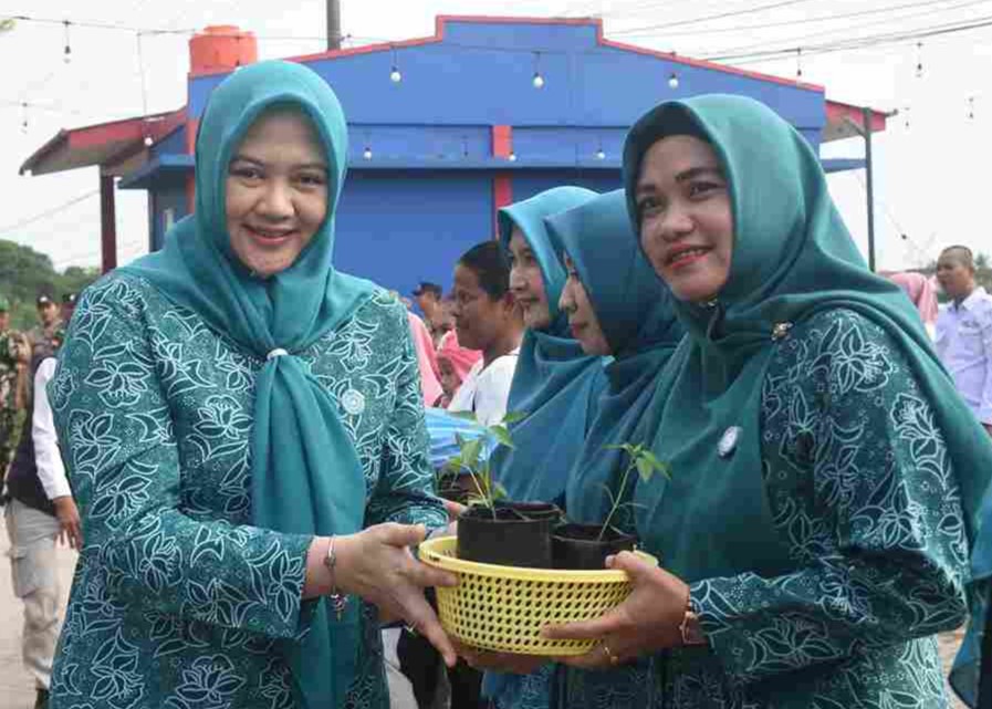 Dukung Ketahanan Pangan, Pj Ketua PKK Tanjungpinang Serahkan Bibit Cabai ke PKK Kecamatan dan Kelurahan