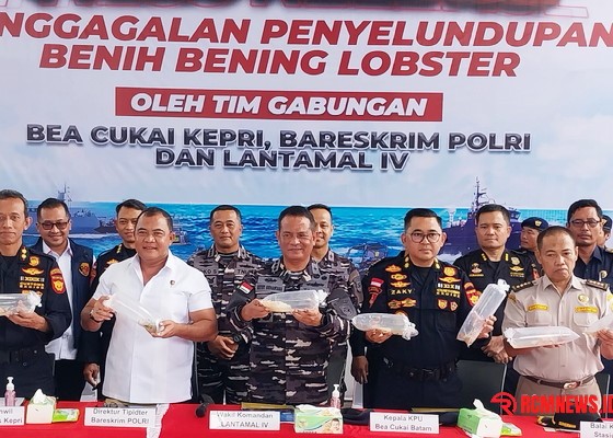 BC, Polisi dan TNI AL Tegah Benih Lobster Rp23,8 Miliar Selundupan, Pelakunya Kabur!