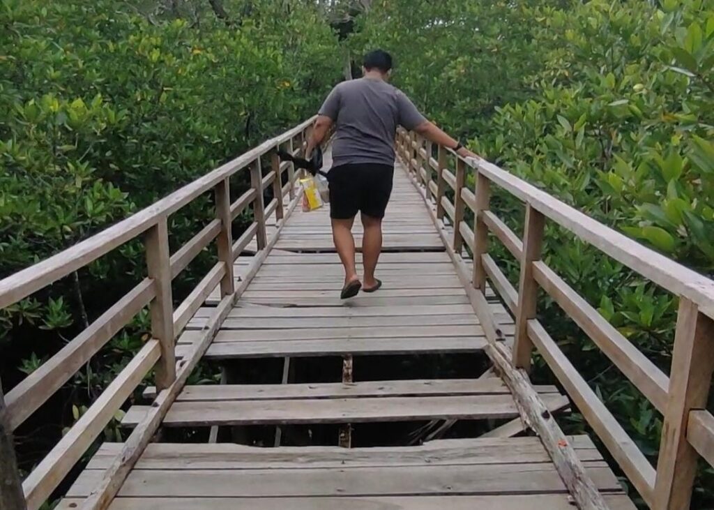 Kondisi Jembatan Wisata Mangove Pering yang rusak. (ft rusdi)