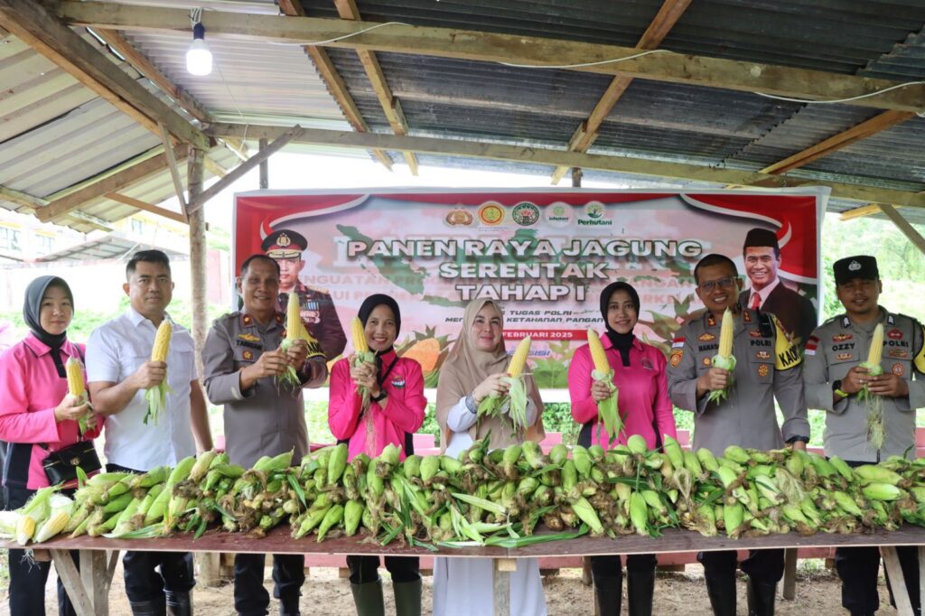Kapolres saat panen jagung di Natuna, pagi tadi. (ft rusdi)