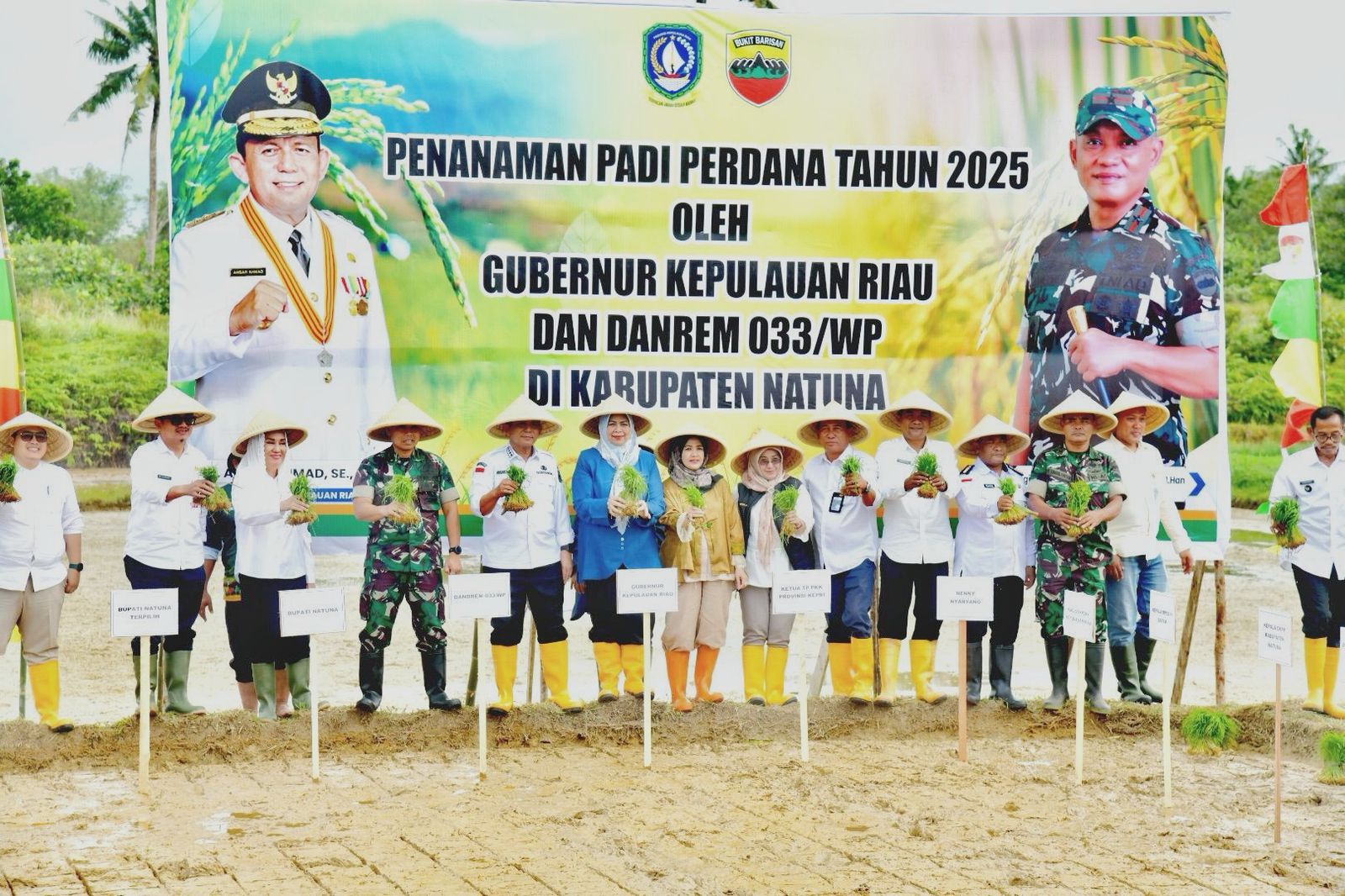 Penanaman padi perdana di Natuna, kemarin. (ft kominfokepri)