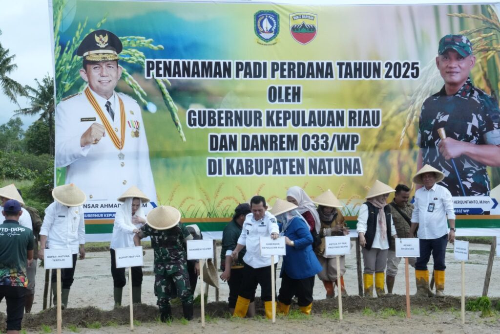 Suasana penanam padi perdana di Natuna, Rabu pekan ini. (ft kominfonatuna)