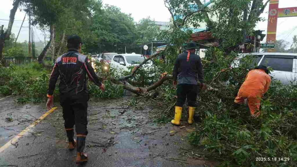 Petugas dari BPBD Tanjungpinang, siang tadi. (ft mctjpinang)
