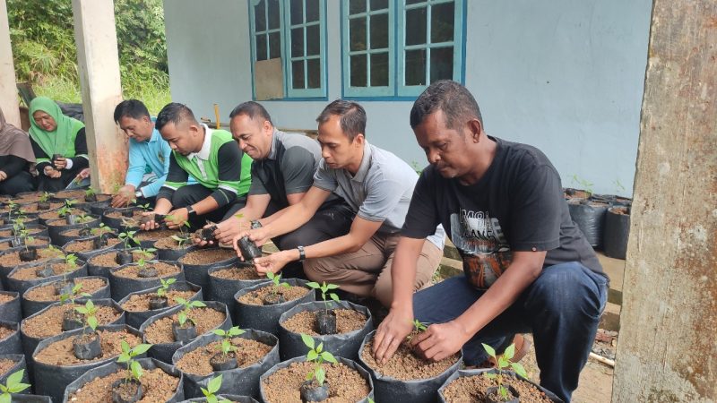 Sejumlah ASN saat menanam cabai di Polibag, kemarin. (ft wandy)