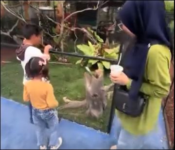 Minizoo Rukazam Jadi Potensi Wisata Edukasi Baru, Bukti Kreativitas Warga Binaan Rutan Karimun