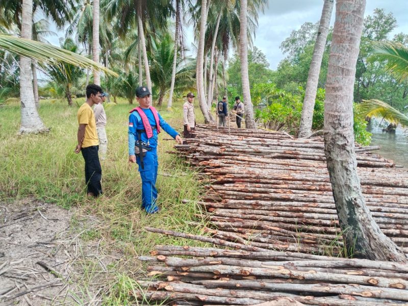 Satpolairud Polres Lingga saat mengamankan kayu ilegal diperairan tanjung kelit. (ft satpolairudpolreslingga)