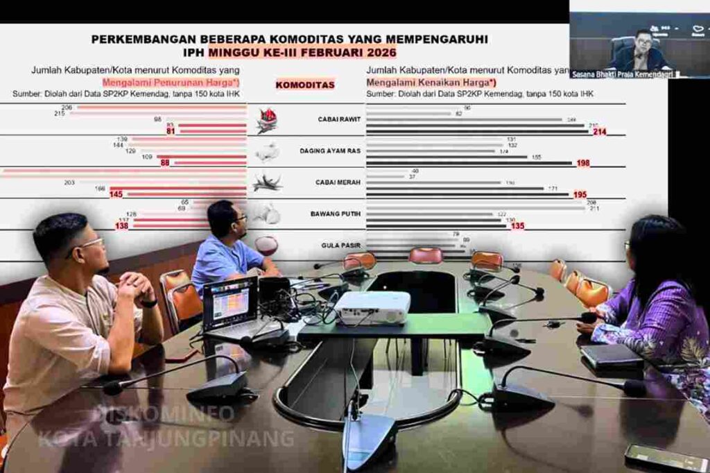 Jajaran Bagian Ekonomi Setdako Tanjungpinang saat Rakor dengan Kemendagri terkait inflasi, kemarin. (ft kominmfotpi)