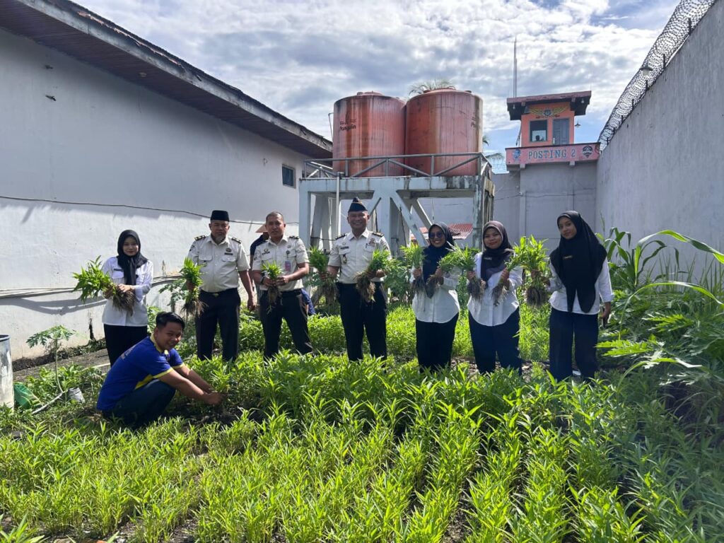 Lapas Kelas IIA Tembilahan terus membuktikan eksistensinya dalam mendukung program ketahanan pangan nasional. Melalui pemanfaatan lahan Sarana Asimilasi dan Edukasi (SAE), jajaran Seksi Kegiatan Kerja bersama warga binaan sukses melaksanakan panen raya kangkung sebanyak 40 kilogram, pagi tadi. (ft muhamad)