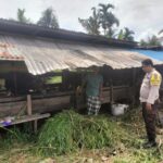 Anggota Polsek Siungai Batang saat meninjau kandang sapi warga di Inhil, pagi tadi. (ft humaspolsek)