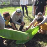 Bupati Inhil saat menyaksikan prosesi penyembelihan hewan kurban, pagi tadi. (ft muhamad)