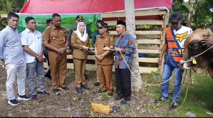 Hewan Kurban Presiden Disalurkan ke Wilayah Terluar Natuna