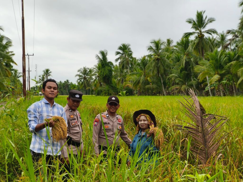Jajaran Polsek Sungai Batang, Kabupaten Indragiri Hilir saat mengunjungi persawahan warga, pagi tadi. (ft muhamad)