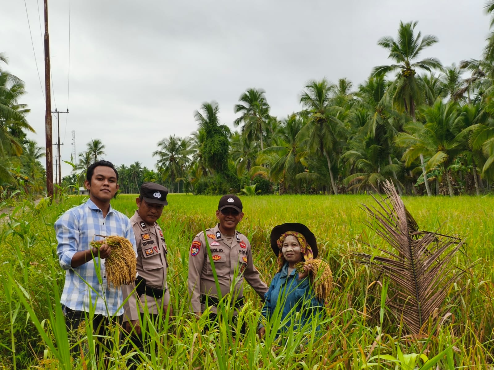 Polisi Turun ke Sawah, Polsek Sungai Batang Dampingi Petani Demi Ketahanan Pangan