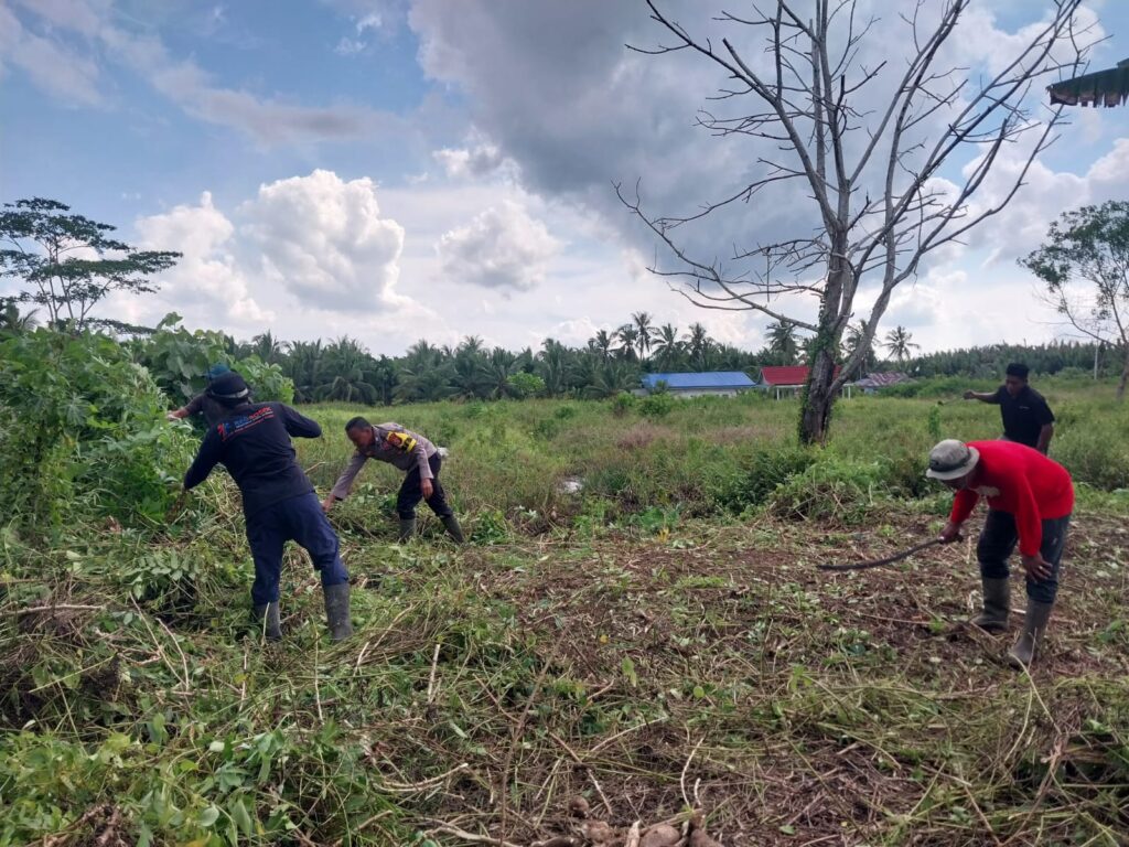 Jajaran Polsek dan Pengelola BUMDES Raja Mud saat membersihkan lahan untuk tanaman jagung, pagi tadi. (ft muhamad)