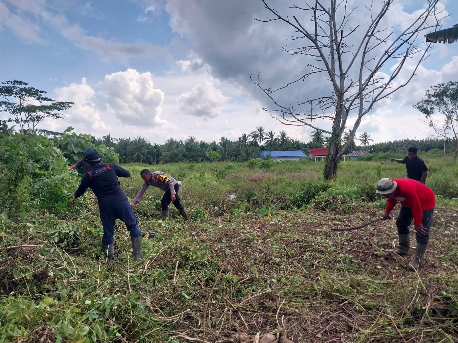 Jajaran Polsek dan Pengelola BUMDES Raja Mud saat membersihkan lahan untuk tanaman jagung, pagi tadi. (ft muhamad)