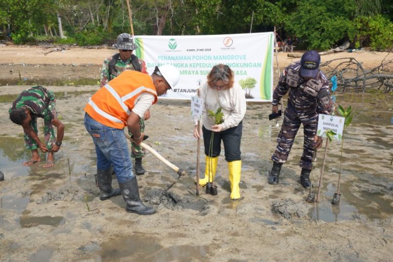 PT Batamraya saat menanam mangrove, pagi tadi. (ft qori)